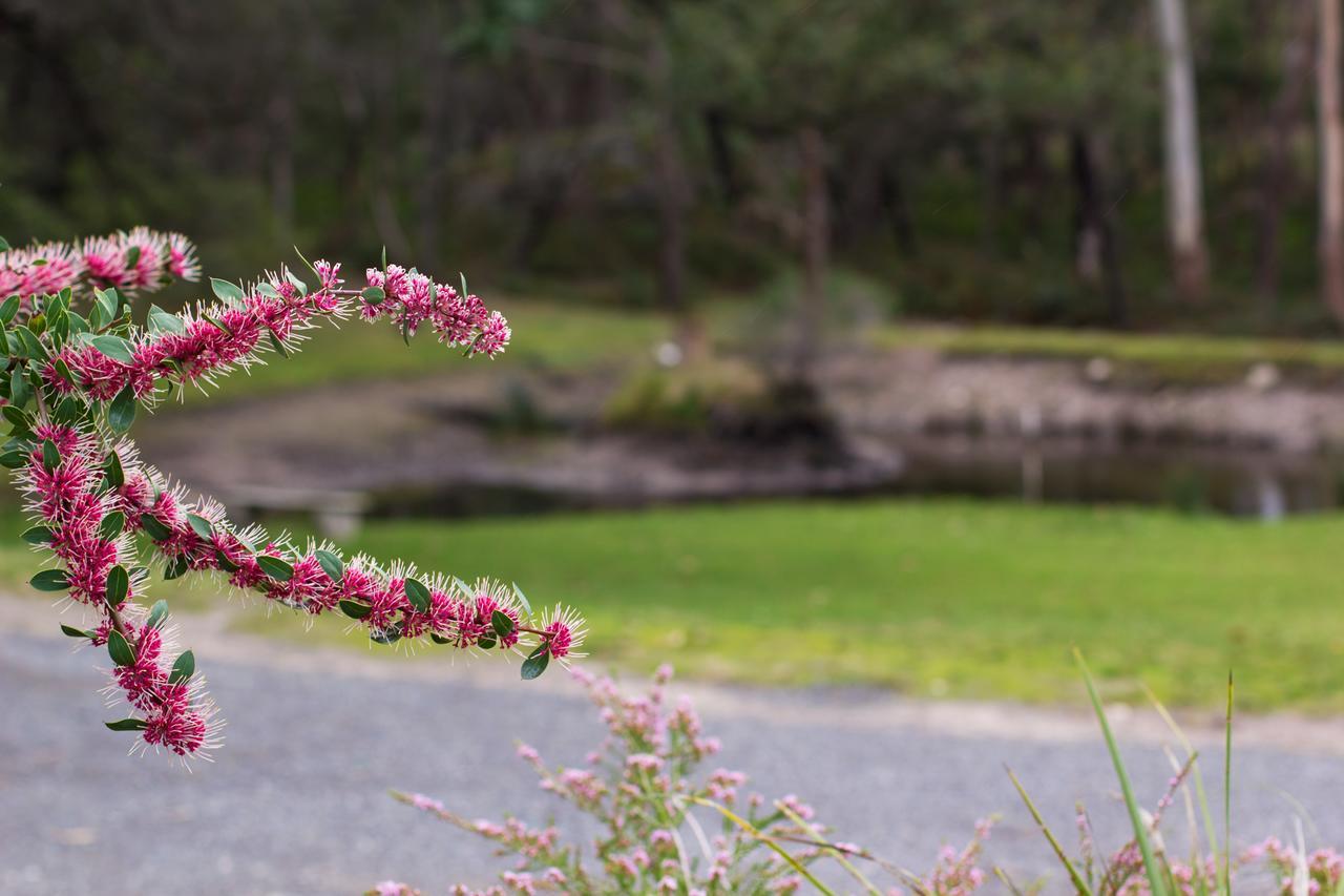 Marwood Villas Halls Gap Exteriér fotografie