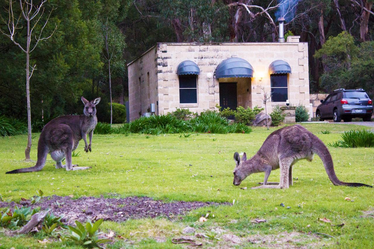 Marwood Villas Halls Gap Exteriér fotografie