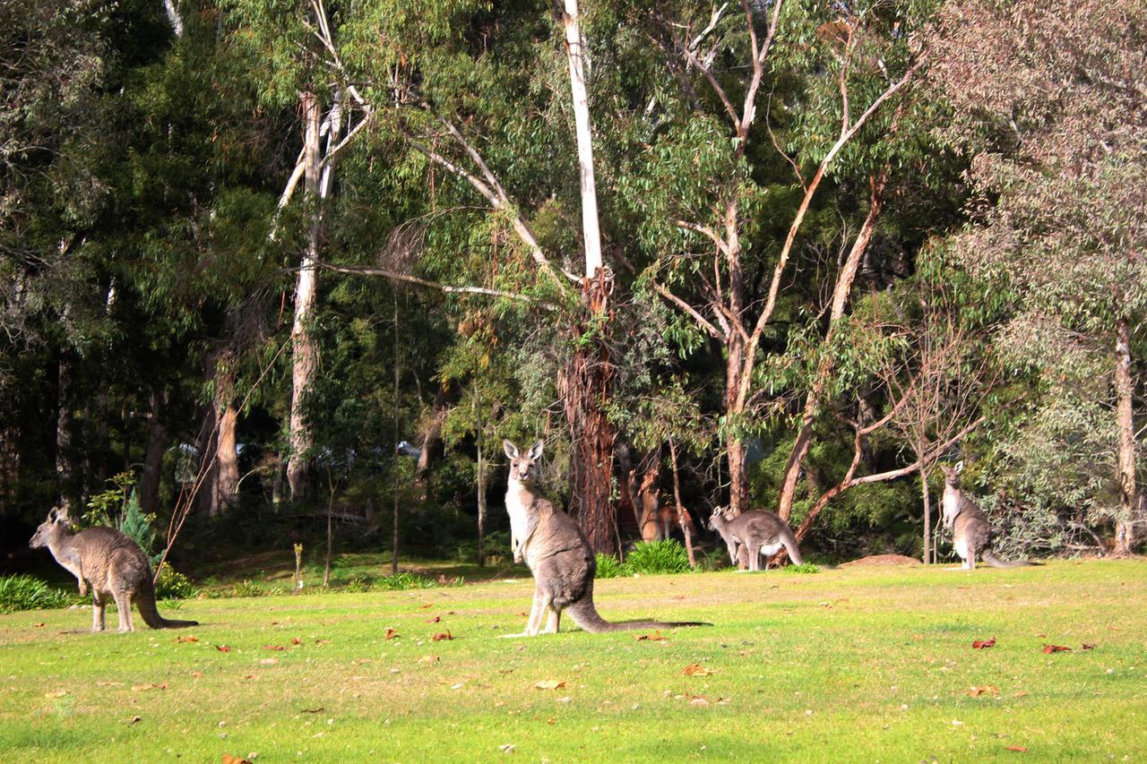 Marwood Villas Halls Gap Exteriér fotografie